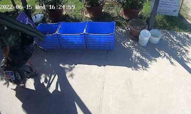 „Az futott át az agyamon, hogy neki már úgysem kell” – Halott horgásztársa cuccait nyúlta le a férfi, hamarosan vádat emelhetnek ellene