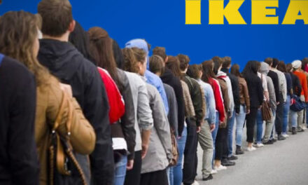 Hatalmas sorok várhatók az IKEA előtt, ismét érkezik a fenyőfavásár