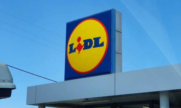 Olcsóbban adja szépséghibás gyümölcseit a Lidl