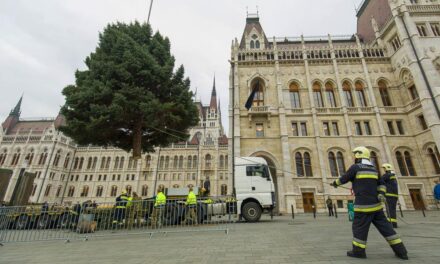 Érkezik az ország karácsonyfája, több helyen torlódásokra kell számítani