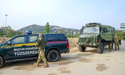 Szovjet lőszerarzenál került elő egy Győr-Moson-Sopron megyei temetőből