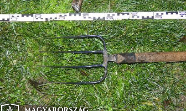 Sínek közt sétáló kislánya buktatta le a körözött férfit, aki vasvillával támadt a rendőrökre