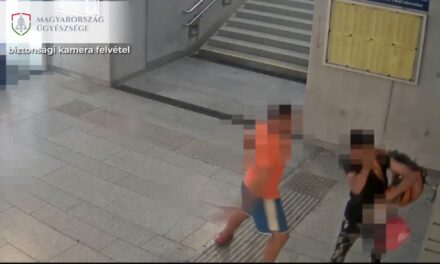Videón, ahogy a járókelők védik meg a rabló áldozatát a Kelenföldi pályaudvar aluljárójában