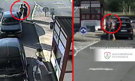 Videón, ahogy egy férfi megpróbálja lefejelni a határőrt az ukrán határon
