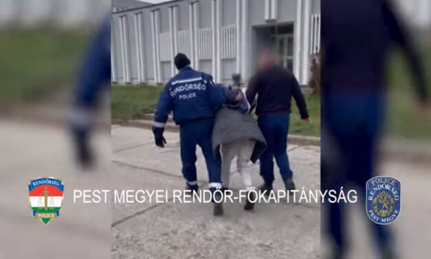 Bevásárlókocsik közt akart elbújni a Gödöllő környéki házak fosztogatója, teljesen sikertelenül