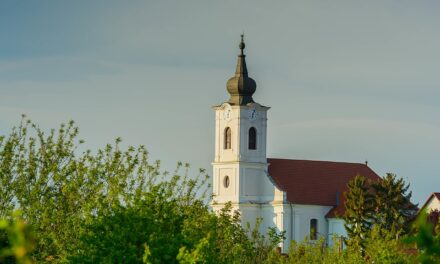 Vízvezetéket ástak Balatonfőkajáron, a tűzszerészek is meglepődtek azon, mennyi minden került elő a föld alól