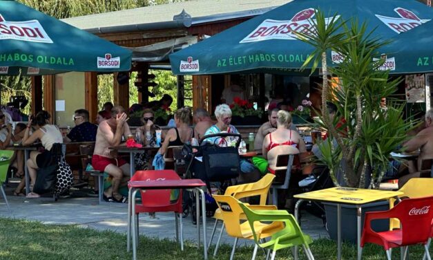 Razziázott a Nébih a balatoni éttermekben, ezt találták
