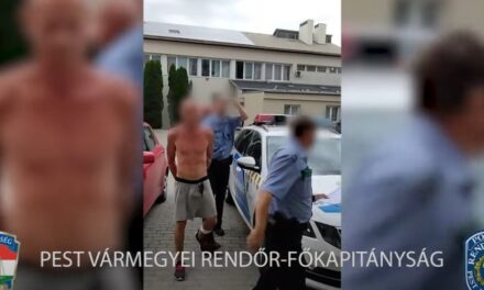 Fényes nappal rabolt ki egy idős nénit egy férfi Pest megyében: durván megragadta az asszony nyakát – videó