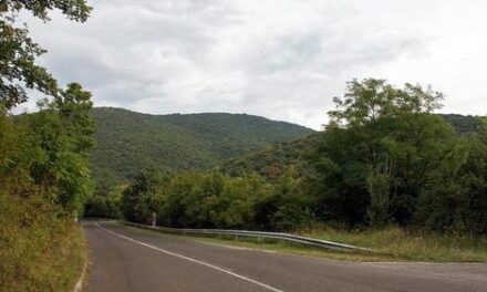 Tiltakoznak a motorosok, amiért Visegrádon kitiltották őket a Panoráma útról: „Le a diszkriminációval, le a táblákkal!”