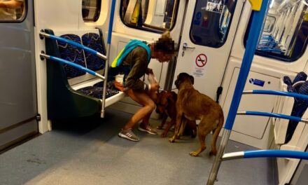 Eszméletlen nőt találtak a 3-as metró Kőér utcai kocsiszínjében!