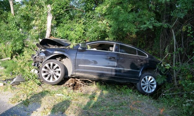 Fának csapódott a Volkswagen, a sofőr nem élte túl a balesetet