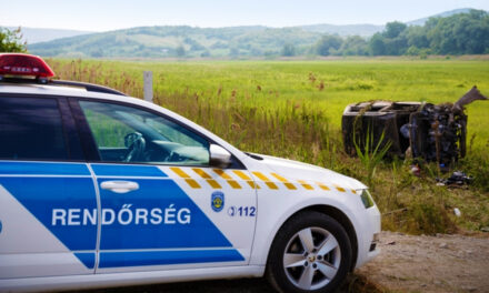 VIDEÓVAL! Újabb autós üldözés Pest vármegyében – az árokba hajtott és felborult a menekülő autós Sülysápon