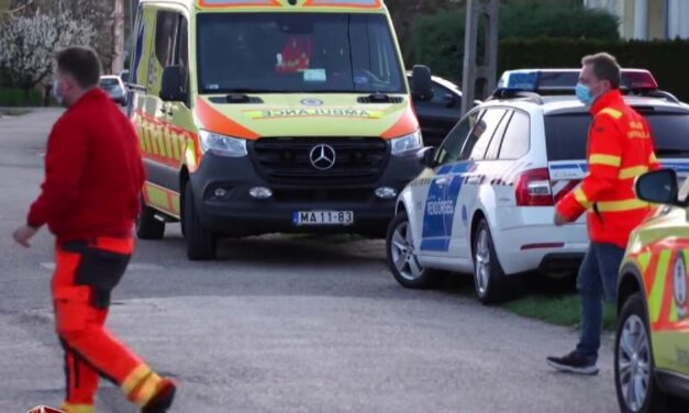 Szörnyethalt a sofőr, amikor kamionnal ütközött egy kisteherautó