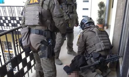 Bemutatott a török elnöknek, leteperték a földre, a veséjén térdeltek