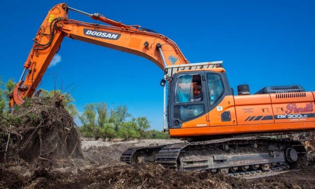 Döglött teheneket ásott el a szomszédja földjén egy törökbálinti politikus – betegséget terjeszthetnek
