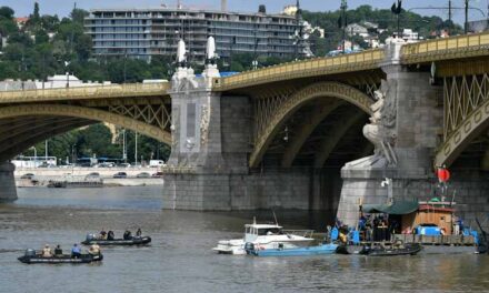 készül – hableány