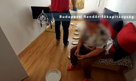 Ne túl okos: porcelánedényeket loptak a munkahelyükről, majd a közösségi oldalon árulták a portékát