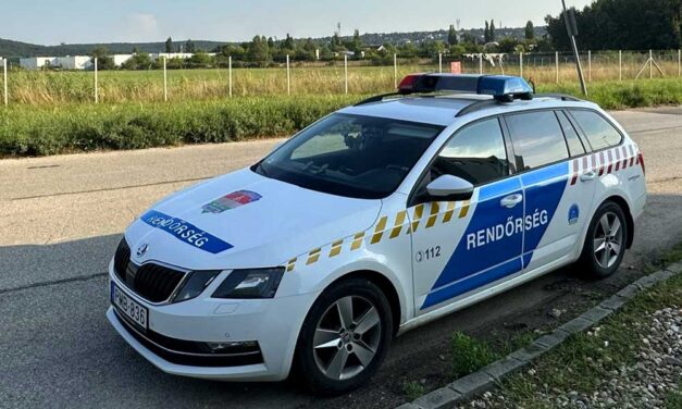 Milyen ember az ilyen? Meztelenül táncoltatta, majd a kocsijához kötve húzta fogva tartott párját egy férfi Abonyban