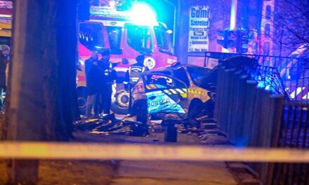 Teret neveztek el az elhunyt rendőrről Budapest 4. kerületében