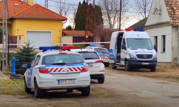 Lecsúszott az elővásárlásról, bosszúból markolóval romboltatta le a nyaralókat