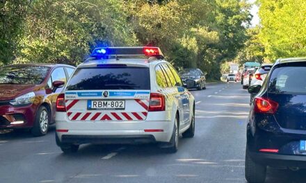 Rejtély Zuglóban: bomlásnak indult holttestet találtak fűnyírás közben