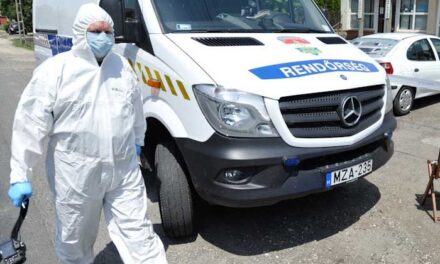 Halálos baleset Dabas külterületén, nem élte túl a kerékpáros az ütközést