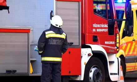 Kútba zuhant egy tinilány Pest vármegyében, egy tűzoltó ereszkedett le érte a vízbe