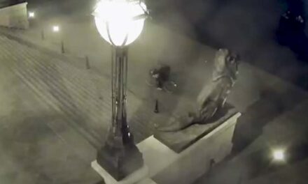 „Azt akartam, hogy biztosan jó helyre kerüljenek” – Megszólalt a férfi, aki a Parlament előtt hagyott öt kismacskát