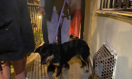 Sikerrel zárult a mentőakció: kimentették a másfél éves Lilit a részeg angyalföldi férfi fogságából