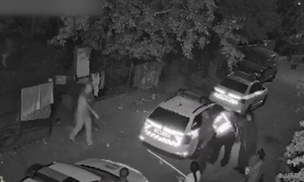 Pillanatok alatt lepték el a rendőrök a környéket: így ütöttek rajta a zsaruk a lányokat kisemmiző apán és fián Pest megyében – videó
