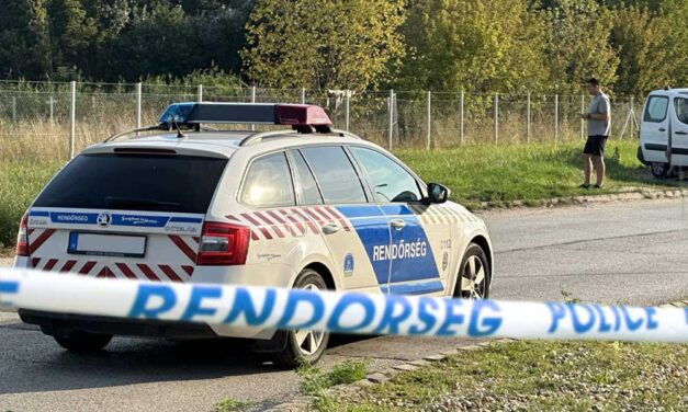 Családi tragédia! Agyonverte 3 éves féltestvérét a 15 éves fiú, mert idegesítette a kislány sírása