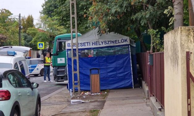„Nem vagyunk képesek felfogni, hogy minden pont a mi Ricsikénknek a halálával járt” – Megszólalt a pesterzsébeti tragédiában meghalt kisfiú nagymamája, a család teljesen összeomlott
