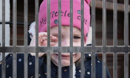 Döbbenetes valóság Magyarországon – Ártatlanul börtönbe került gyerekek, akiket bűnös édesanyjáik vittek magukkal a rácsok mögé