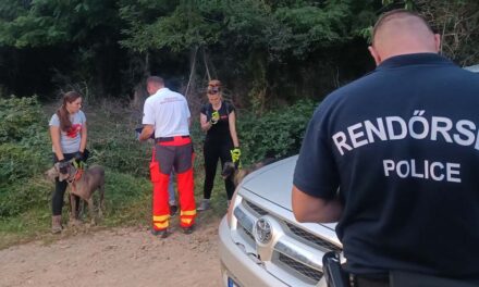 Mezítláb, egy szál hálóingben, a földúton találtak rá a nyomtalanul eltűnt 92 éves Annuska nénire