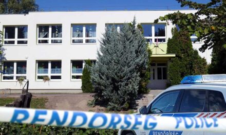 Gyermekekre vadászik egy ismeretlen férfi Budakeszi óvodáiban, legutóbb a szülők akadályozták meg egy kisfiú elrablását, már a polgármester is megszólalt az ügyben, a rendőrség nyomoz