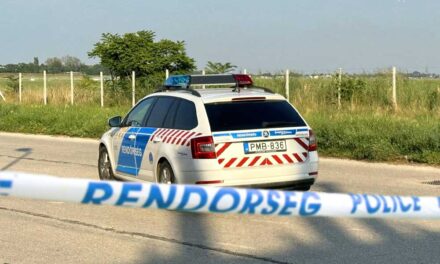 Dráma: éles eszközzel támadt saját testvérére egy férfi Balatonfüreden