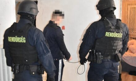 Az iskolapszichológusnak is beszélt a gyilkos vágyairól a kamaszfiú, aki baltával oltotta ki édesanyja életét – 11 évet kapott