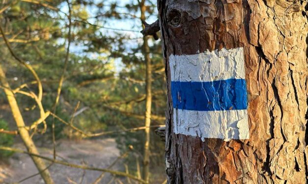 Csoda a Magas-Tátrában: reménytelen helyzetben mentették meg az eltévedt magyar párt