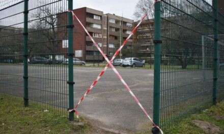 Fordulat: két nyugdíjas miatt bezárták, most újranyitották a két ceglédi sportpályát!