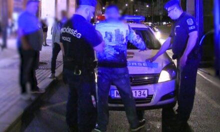 „Az őrjöngő férfi hirtelen elhallgatott” – Rendőri igazoltatás közben meghalt egy férfi Pest megyében
