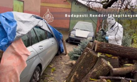 Éjjel szóltak nekünk, hogy megtalálták az én drága fiamat” – megszólalt M. Görgy édesanyja, a férfi holttestét és autóját Budapest környékén találták meg
