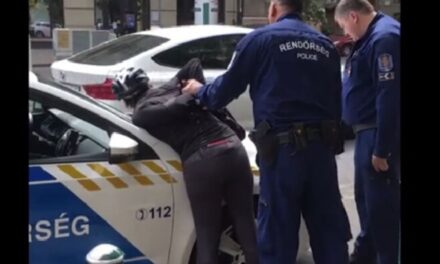 Halálos rendőri intézkedés Gödön! Kiderült, miért halhatott meg az őrjöngő sofőr