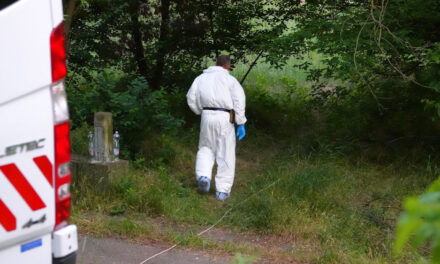 Tragédia! Egy erdőben találták meg annak a férfinak a holttestét, aki két hete rossz helyen tett ki a betegszállító