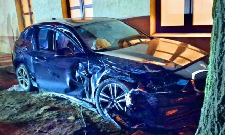 Durván fának csapódott az édesapa vezette BMW, a benne ülő csecsemővel különös dolog történt, szokatlan helyen találták a mentőegységek – FOTÓK