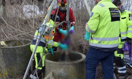 Megölhették és kútba dobhatták bűntársukat a csalók, akik lakatlannak tűnő ingatlanokat adtak el hamis papírokkal