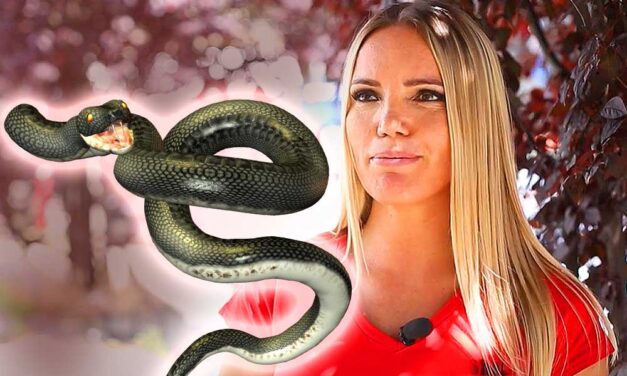 Tragikus teaszeánsz: vádat emeltek a nő ellen, aki miatt a Való Világ sztárjára, eszméletlen állapotban, törött csontokkal találtak rá a siklósi erdőben
