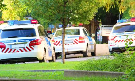 Ajándékokkal elcsalta, majd simogatta, csókolgatta a kisfiúkat egy férfi Bicskén: az iskola parkolójában csaptak l e rá a rendőrök