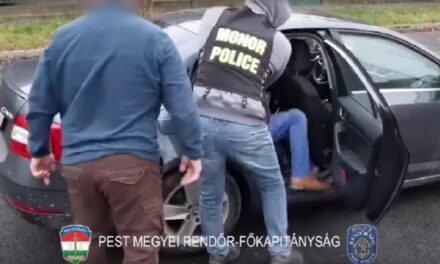 A váci férfi csak ahhoz volt bátor, hogy ellopjon egy autót és megölje annak tulajdonosát, a börtön elől elmenekült, most elfogták