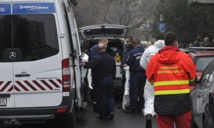 Bérvita miatt lőtte agyon főnökét az 56 éves kamionsofőr Komádiban