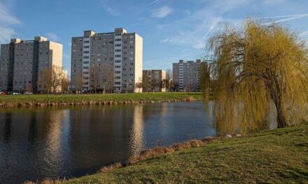 Rejtélyes haláleset Oroszlányban: alig egy méteres tóba fulladt bele egy férfi